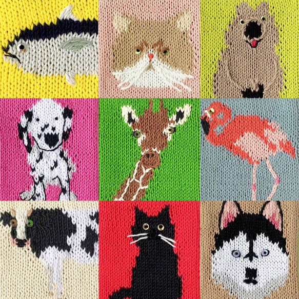 シベリアンハスキー のポーチ 8枚目の画像