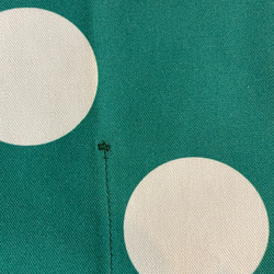 フラメンコ　シューズケース　緑地にアイボリーの水玉模様 4枚目の画像