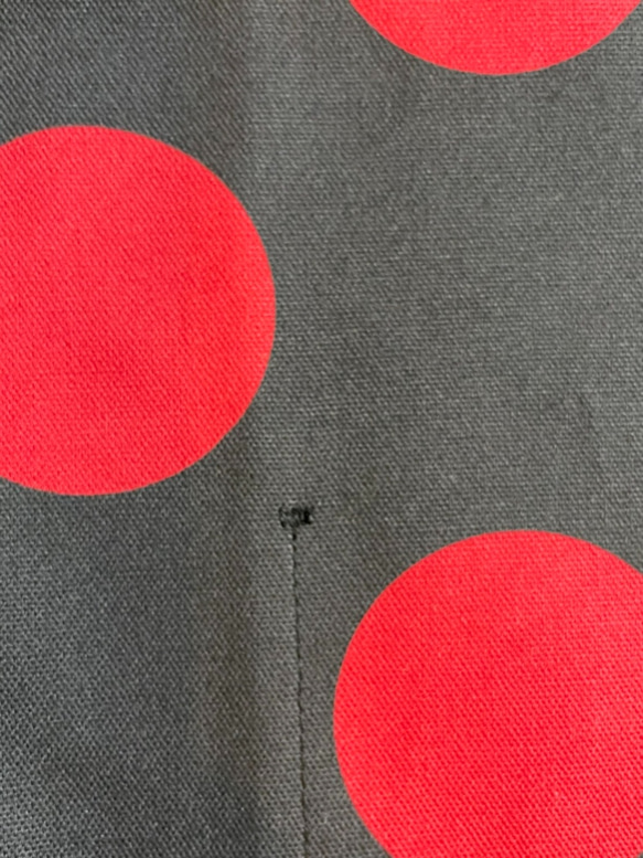 フラメンコ　シューズケース　黒地に赤の水玉模様 4枚目の画像