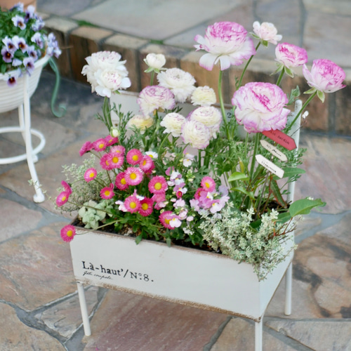 ⚠️専用品⚠️ 春待ち ラナンキュラス と 薔薇 さくらふわり の春色 フルリース ⚠️専用品⚠️ 春待ち ラナンキュラス と 薔薇 さくらふわり の