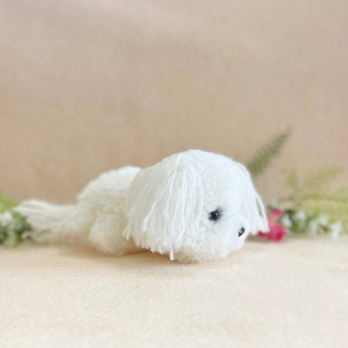 トイプードル　ビションフリーゼ　テディベア　ぬいぐるみ テディビションフリーゼ2号ちゃん ボディに詰め物をして仕上げて