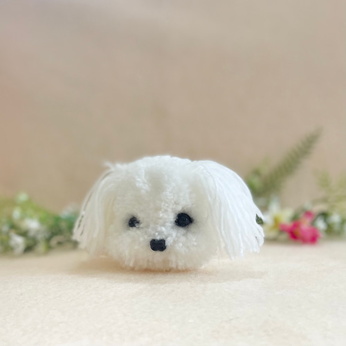 プードルカットのうちの子ぽんぽん（ぺしゃんこタイプ） ビション