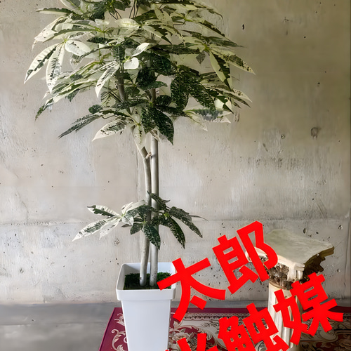 光触媒 人工観葉植物 ウォールグリーン フェイクグリーン フラワー 