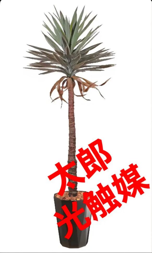 光触媒 人工観葉植物 ウォールグリーン フェイクグリーン フラワー