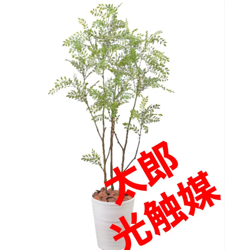 光触媒　人工観葉植物　ウォールグリーン　フェイクグリーン　コンシンネ150a 光触媒 人工観葉植物 ウォールグリーン フェイクグリーン 壁掛け