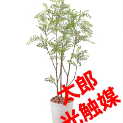 光触媒 人工観葉植物 ウォールグリーン フェイク アレンジ トネリコ150