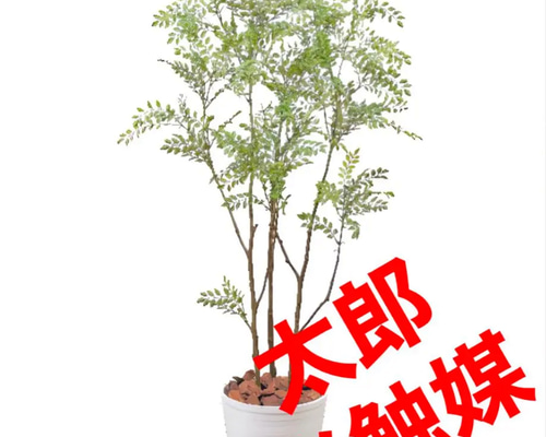 光触媒　人工観葉植物　ウォールグリーン　フェイクグリーン　コンシンネ150a 光触媒 人工観葉植物 ウォールグリーン フェイクグリーン 壁掛け