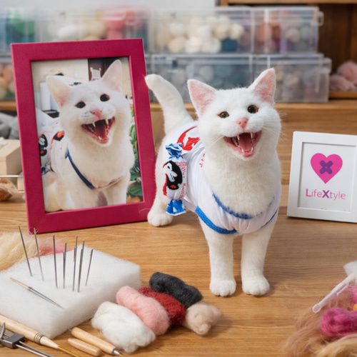 羊毛フェルト 猫 ぬいぐるみ オーダーメイド｜愛猫 そっくり再現 羊毛