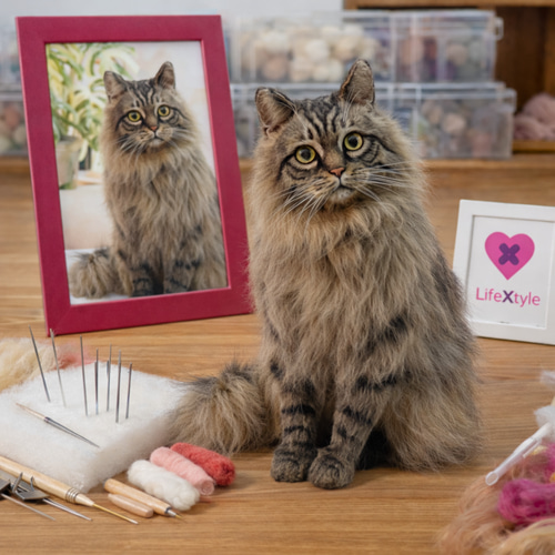 羊毛フェルト 猫 ぬいぐるみ オーダーメイド｜愛猫 そっくり再現 羊毛