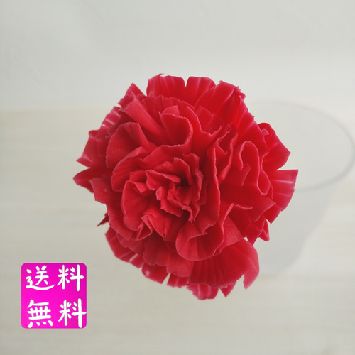 粘土の枯れないカーネーション レッド 樹脂粘土の花 送料無料 アート