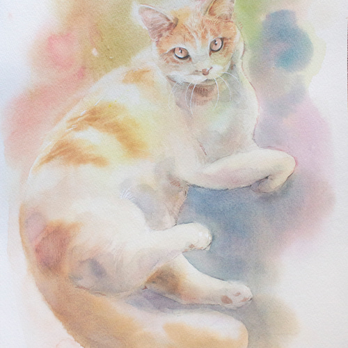 ねこ①_水彩原画_イラスト イラスト n.akabae 通販 15708901