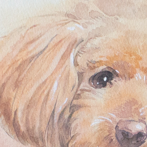 画家志望の青年が描いた　犬の水彩画 中村拓哉 | 水彩画ワンちゃん🐶🟦 水彩画って綺麗ですね😊 AI