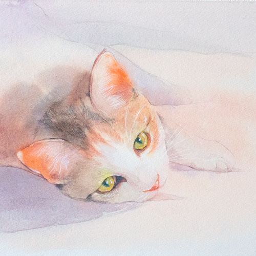 ねこ③_水彩原画_イラスト イラスト n.akabae 通販 15709816