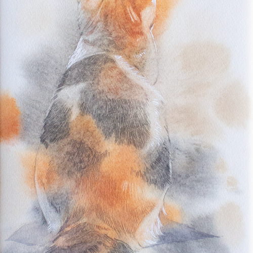 ねこ④_水彩原画_イラスト イラスト n.akabae 通販 15709946