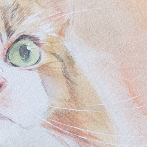 ねこ⑤_水彩原画_イラスト イラスト n.akabae 通販 15710053