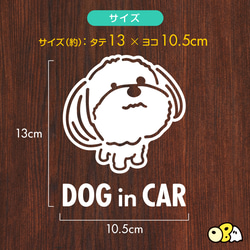 DOG IN CAR/シーズーA カッティングステッカー KIDS IN CAR・BABY IN CAR・SAFETY 3枚目の画像