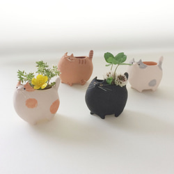 [受注制作]テクテクNEKO TSUBO（素焼きの猫　花器） 5枚目の画像