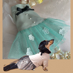 ハンドメイド犬服・エメラルドグリーン 青と緑の花柄 リボン付きドレス 25662e2fc18cc374e005b460d77bb9