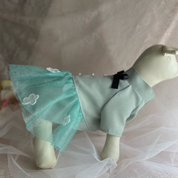 【犬ドレス】可愛い小花付き　ミントグリーン❤️チュールスカート　パール飾り❤️おしゃれお出かけドレス　SML 受注生産 2枚目の画像