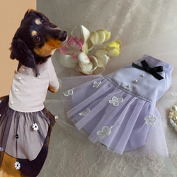 【犬ドレス】可愛い小花付き　ラベンダー❤️チュールスカート　パール飾り❤️おしゃれお出かけドレス　SML &ダックス 2枚目の画像