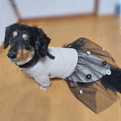 【犬ドレス】可愛い小花付き　ラベンダー❤️チュールスカート　パール飾り❤️おしゃれお出かけドレス　SML &ダックス 4枚目の画像