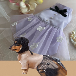 【犬ドレス】可愛い小花付き　ラベンダー❤️チュールスカート　パール飾り❤️おしゃれお出かけドレス　SML &ダックス 1枚目の画像