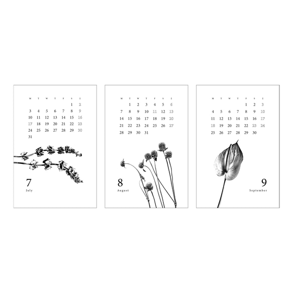 〈4月〜12月〉2023年 ボタニカルカレンダー 【A4サイズ】 7枚目の画像