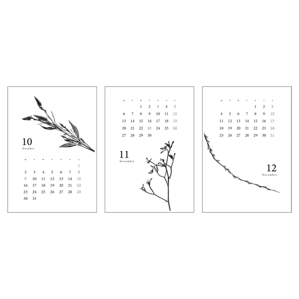 〈4月〜12月〉2023年 ボタニカルカレンダー 【A4サイズ】 8枚目の画像
