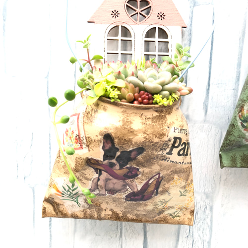 リメイク缶328☆多肉植物☺︎︎寄せ植え☺︎︎インテリア 数量限定＊ 春の♡ふわぷくよせ(=∵=)♡ リメイク缶多肉植物寄せ