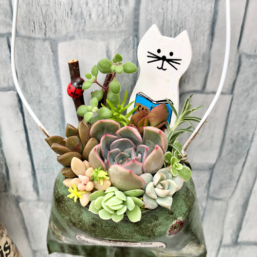 ほっこりスマイルよせ⑅◡̈*リメイク缶多肉植物寄せ植え