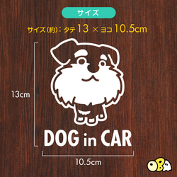 DOG IN CAR/シュナウザーB カッティングステッカー KIDS IN CAR・BABY IN CAR 3枚目の画像