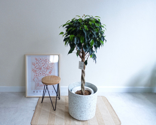 c805e34e1145a7b40ae537897fd4f0