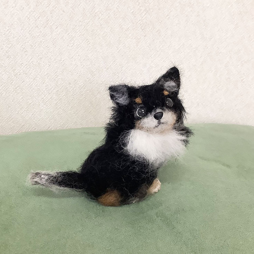 ぴのきち☆5.5cmのチワワパピーちゃん☆羊毛フェルト チワワ ロング