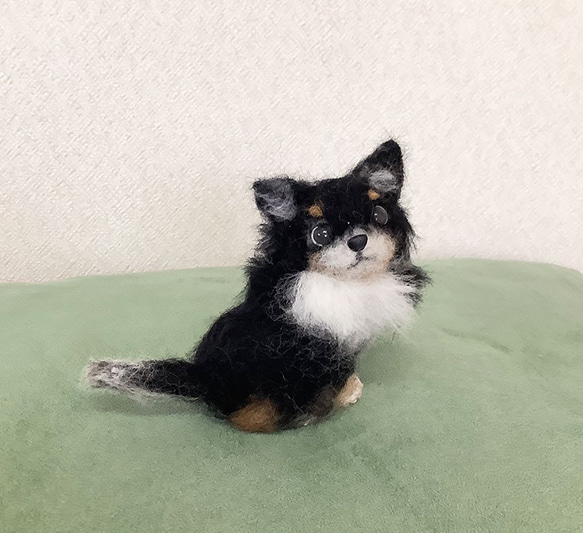 チワワブラックタン＊羊毛フェルト＊犬＊チワワ 羊毛フェルト