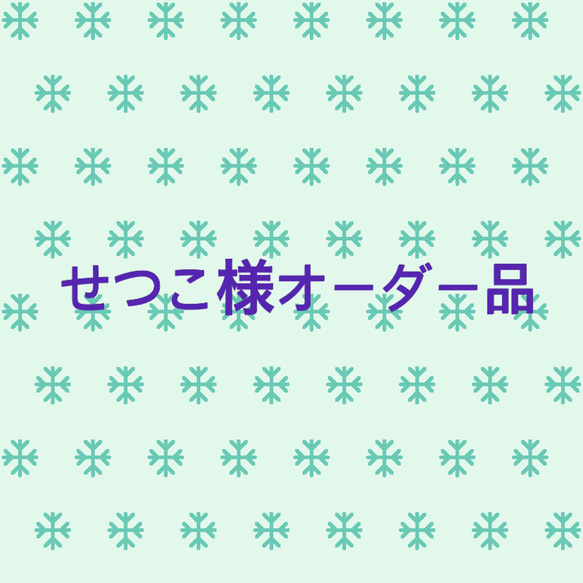 せつこ様オーダー品 1枚目の画像