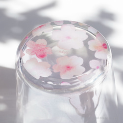 【名入れ】花咲くグラス／桜　Sakura／AN825-sk 10枚目の画像