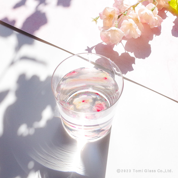 【名入れ】花咲くグラス／桜　Sakura／AN825-sk 5枚目の画像