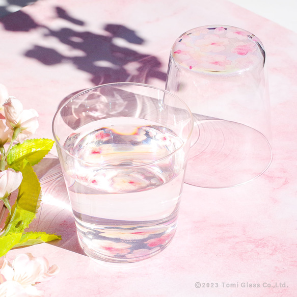 【名入れ】花咲くグラス／桜　Sakura／AN825-sk 8枚目の画像