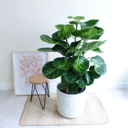 8ebbf565d93c173fea3229a4fb0843