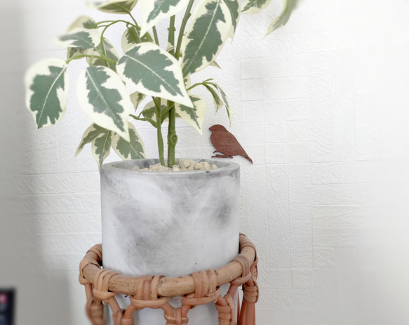 ♦小鳥♦　文鳥 人気・おすすめ｜使いやすい・旅行におすすめ セール中 全国発送 国内発送対応