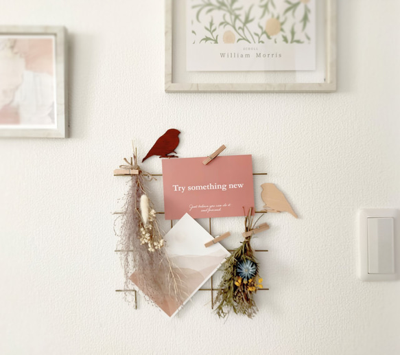 ♦小鳥♦　文鳥 人気・おすすめ｜使いやすい・旅行におすすめ セール中 全国発送 国内発送対応