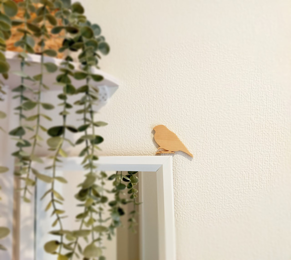 ♦小鳥♦　文鳥 人気・おすすめ｜使いやすい・旅行におすすめ セール中 全国発送 国内発送対応