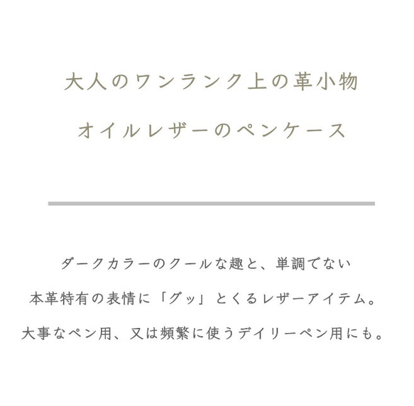 【送料無料】国産オイルレザーのペンケース ／ 2本差し 3本差し 万年筆 縦型 コンパクト 3枚目の画像