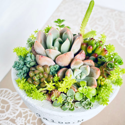 ba28cb1bfb2e6284c7954709d0dfd3