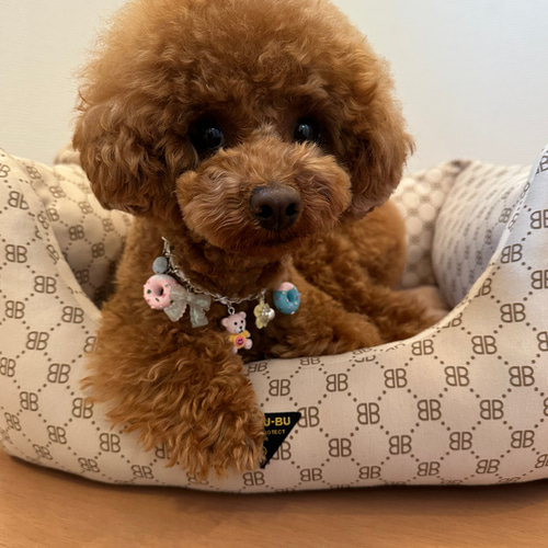 犬用 ネックレス ペット服・アクセサリー RO＆MU 通販 15716735