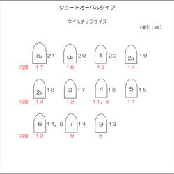 ゆるやかカーブ【華】~HANA~　装い華やか変形フレンチ　桐＆杉 5枚目の画像