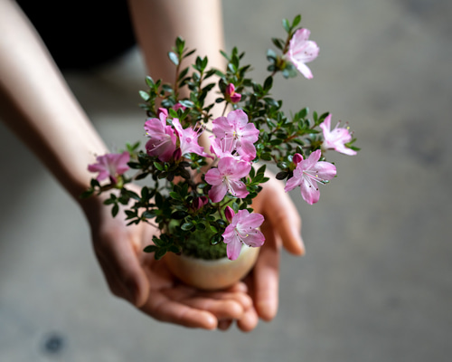 85e01570ecb6f1265ef1ba7e0a7976