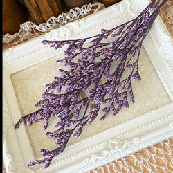 ✿1901年撮影のノスタルジックなステレオビューカード 立体写真 その他