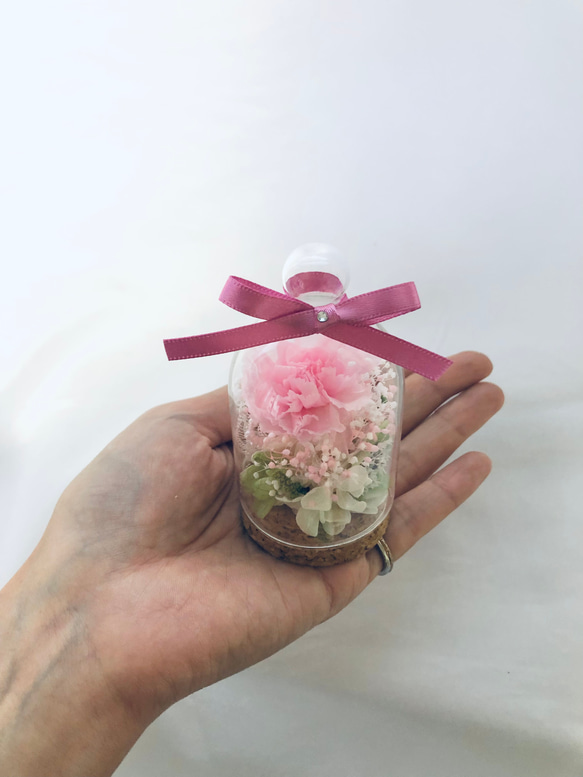 プリザーブドフラワー桜色のカーネーションミニガラスドーム 1枚目の画像