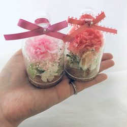 プリザーブドフラワー桜色のカーネーションミニガラスドーム 7枚目の画像
